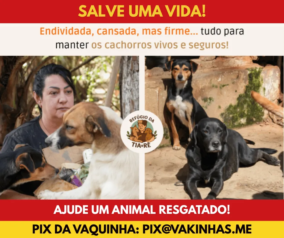 Vakinhas.me - Refugio da Tia Re - banner celular - 03